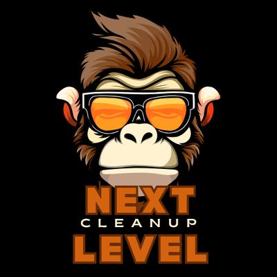 Next Level Cleanup