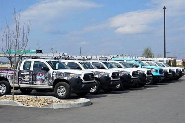 Complete Animal Removal