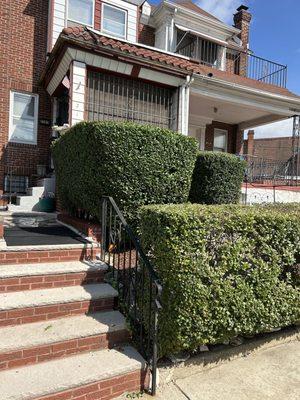 Nephewz Construction