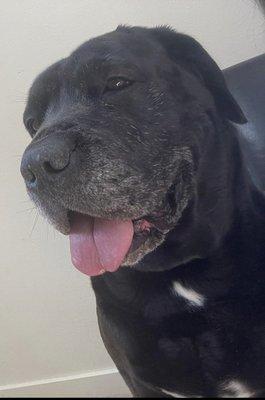 Deer Park Veterinary Clinic