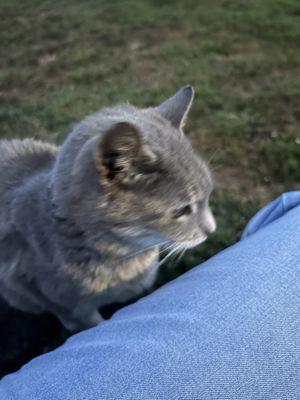 It was a pleasure caring for you sweet Lexi! Can't wait to see you again.