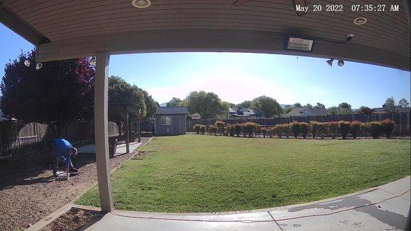 Yavapai Exterminating