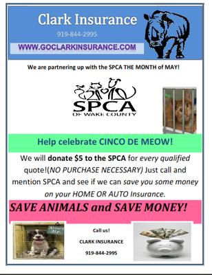 C3 Risk & Insurance Services