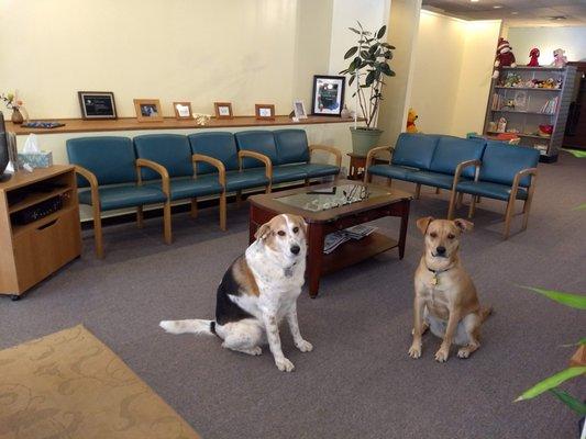 Stevens Family Chiropractic