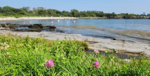It was a perfect summer day to watch the tide come in! The delightful breeze came with it!