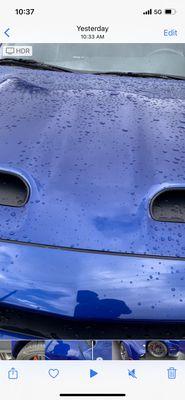 By The Way Detailing