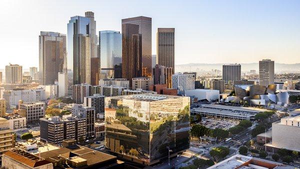 Acquisition Services Group