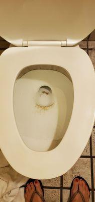 Dutch Inn Hotel & Restaurant