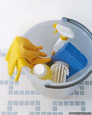 New River Cleaning Service