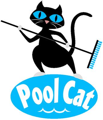 Pool Cat