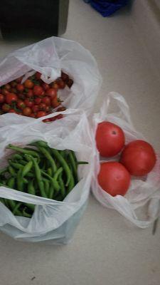 Cherry tomatoes, green beans, and slicing tomatoes