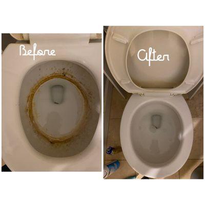 The Pristine Mop and Broom Cleaners