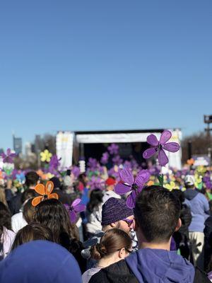 Patient Care Coordination