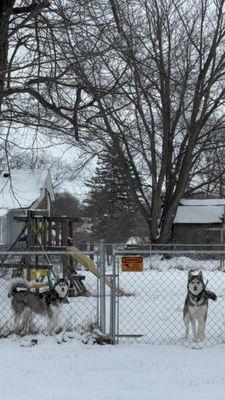 South Anderson Veterinary Clinic