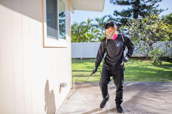 Our integrated pest management program will help keep unwanted guests out of your home.