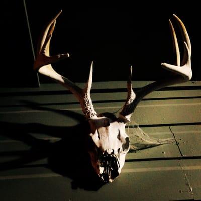 This guys is always on duty to welcome you.