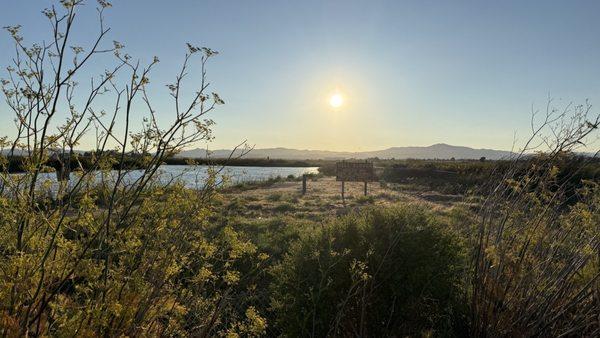 Grizzly Island Trail