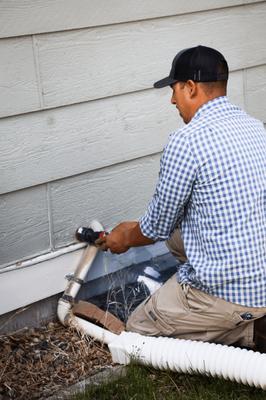 Polar Bear Mechanical