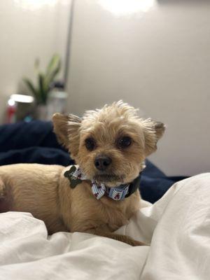 East Bay Animal Rescue & Refuge