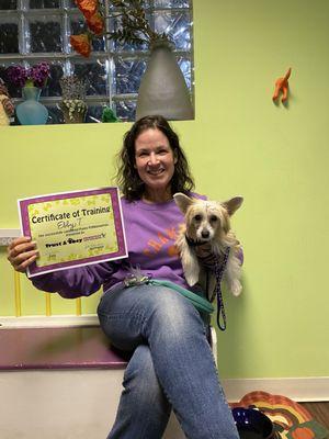 Trust & Obey Pawsitive Dog Training