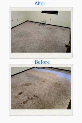 Carpet cleaning a rough carpet from an apt!