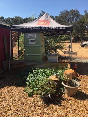 Cleanest porta-potty I've been in