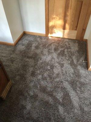 Carpet installed by Milford Flooring