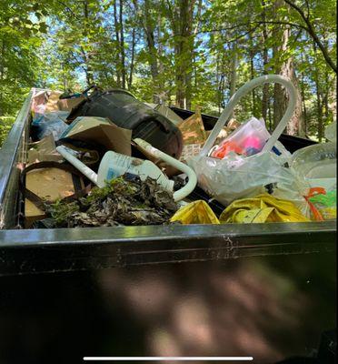 Raptor Removal Services