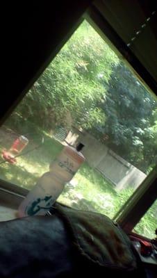 Conroe Independent School District Police