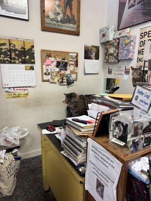 Whistlestop Bookshop