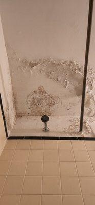 Rugby Square Apartments