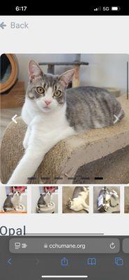 Contra Costa Humane Society