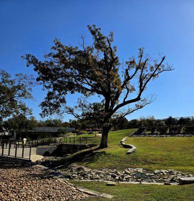 Shirley Mcdonald Park