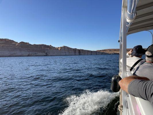 Managed to get a photo.