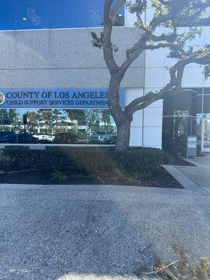 County Child Support Services Department