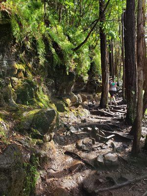 Maunalaha Trail