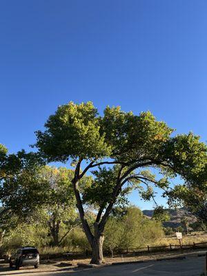 Big Morongo Canyon Preserve