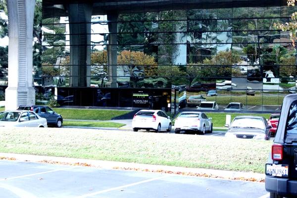 Reproductive Wellness