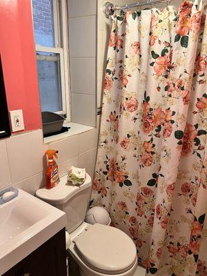 Bathroom cleaned to perfection.