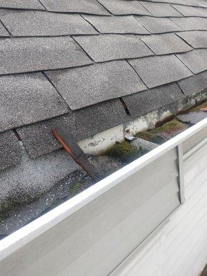 Look at these nasty gutters. Get a NEW roof done by us get new gutter screens and you not have to worry about clogged gutters