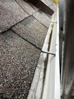 Pigeons Window Cleaning