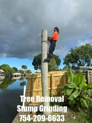 Express 1 Landscaping