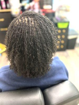 Beautiful head of brand new Sisterlocks TM.