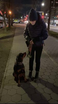 McClain's Balanced Dog Training