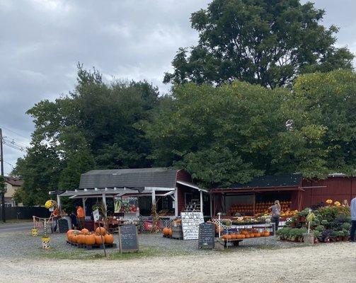 Cheyenne's Road Market