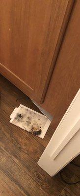 Elizabeth City Coast Guard MWR