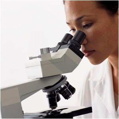 Mold Inspection Atlanta