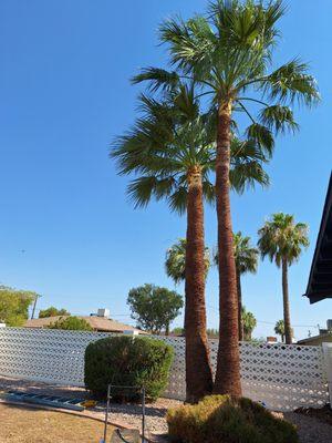 El cliente quedo muy satisfecho con el trabajo