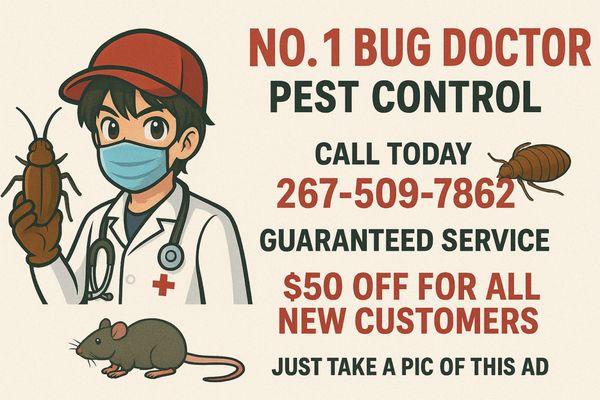 No 1 Bug Doctor