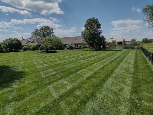 On-the-Go Enhancement